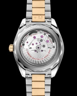 41 mm, acier ‑ or Moonshine™ sur acier ‑ or Moonshine™|OMEGA Online