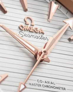 41 mm, acier ‑ or « Sedna™ » sur acier ‑ or « Sedna™ »|OMEGA Online