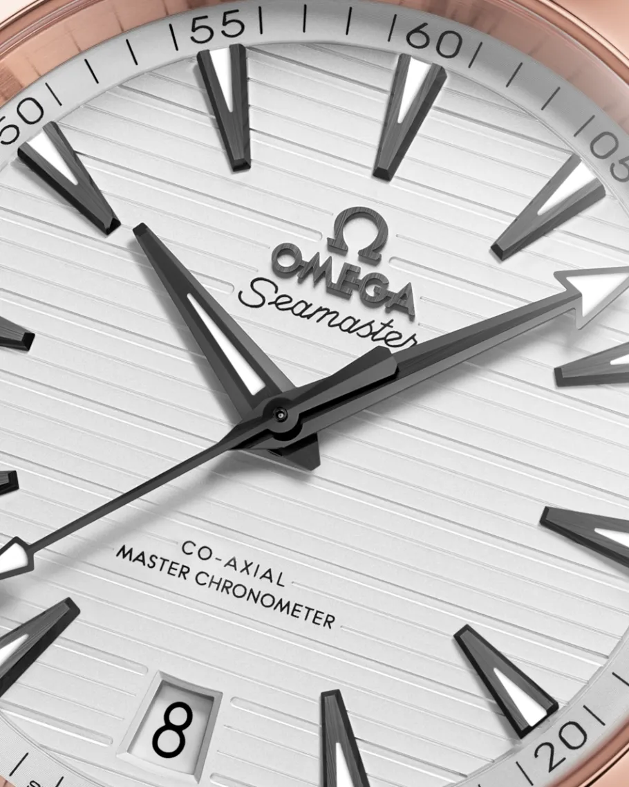 41 mm, acier ‑ or « Sedna™ » sur bracelet caoutchouc|OMEGA Outlet