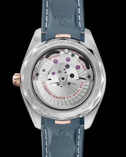 41 mm, acier ‑ or « Sedna™ » sur bracelet caoutchouc|OMEGA Hot