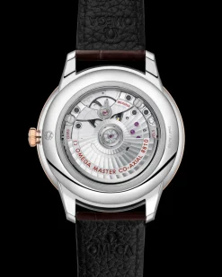 41 mm, acier ‑ or « Sedna™ » sur bracelet en cuir|OMEGA Outlet