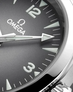 38 mm, acier sur acier|OMEGA Discount