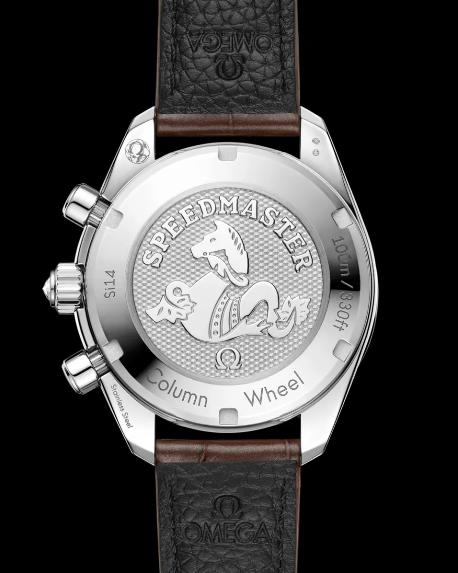 38 mm, acier sur alligator|OMEGA Discount