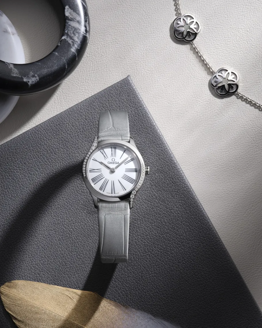 26 mm, acier sur alligator|OMEGA Outlet