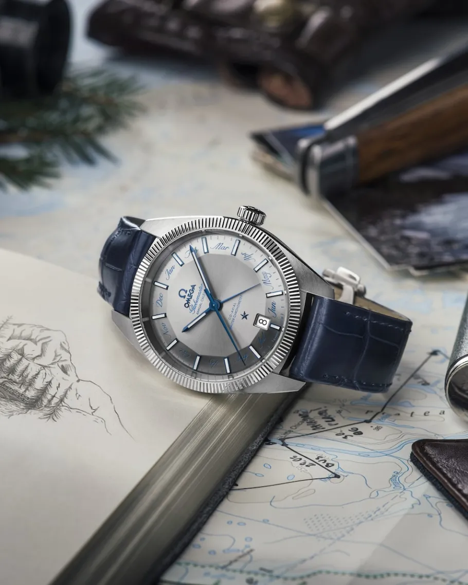 41 mm, acier sur bracelet en cuir|OMEGA Discount