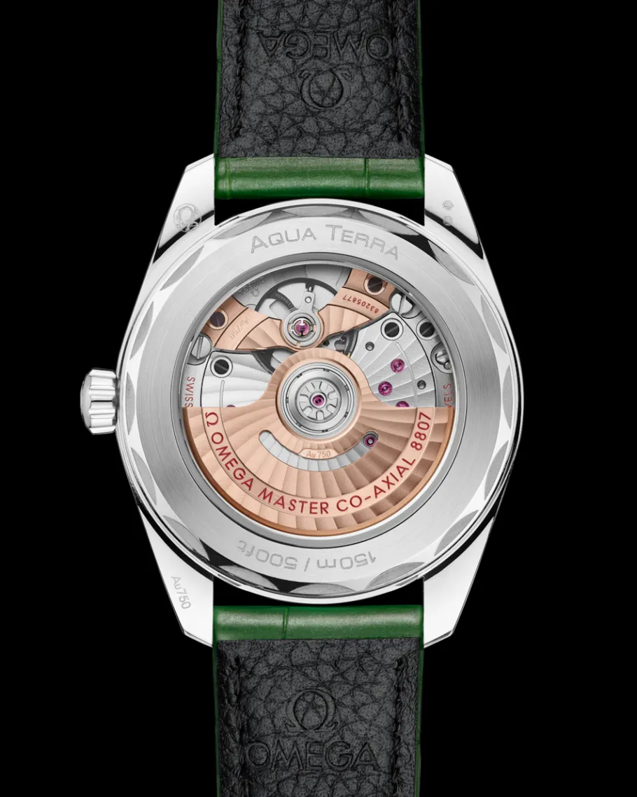 38 mm, Canopus Gold™ sur alligator|OMEGA New