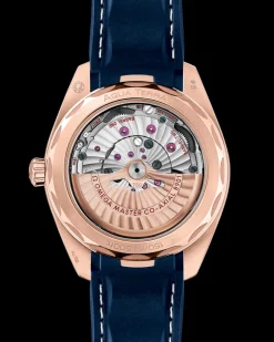 41 mm, or Sedna™ sur bracelet caoutchouc|OMEGA Clearance