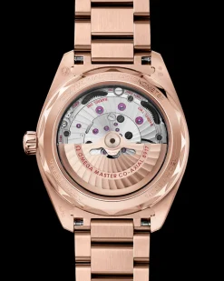 41 mm, or Sedna™ sur or Sedna™|OMEGA Discount