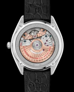 39,5 mm, platine sur bracelet en cuir|OMEGA Fashion