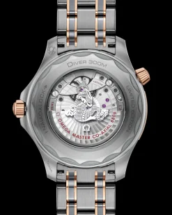 42 mm, titane ‑ tantale ‑ or Sedna™ sur titane ‑ tantale ‑ or Sedna™|OMEGA Sale